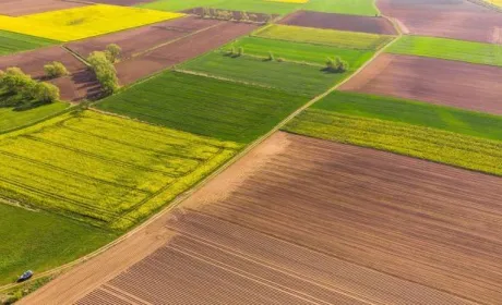 Запуск ринку землі для юридичних осіб під час воєнного стану шкодить національним інтересам України, – ВАР