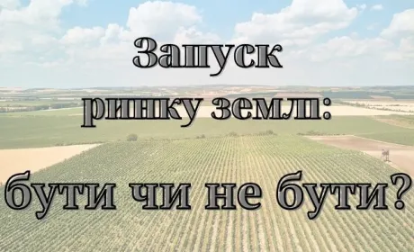 Запуск ринку землі: бути чи не бути?