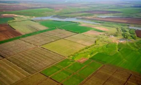 Скільки сільгоспземлі в Україні знаходиться в тіні