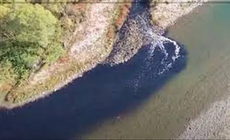 У деяких річках Прикарпаття торік вміст пестицидів перевищував норму в 15 разів