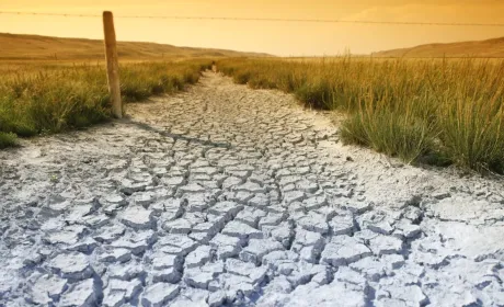 Цьогорічна посуха може стати найгіршою в історії Канади