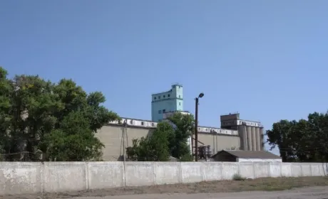 Під Харковом чиновники накрали зерна на 2 мільйони — на мишей зіпхнути не вдалося