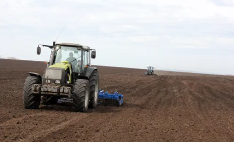 Високі ціни на зернові можуть спричинити більше скорочення посівних площ під цукровими буряками в СНД – Sucden