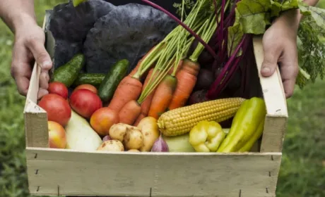 Продаж власної сільгосппродукції: як оподатковується ПДФО