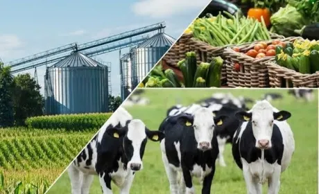 На Полтавщині працюють 32 сертифіковані виробники органічної продукції