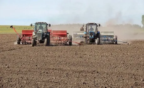 Що сіяти у 2025 році: прогноз від АГРОТРЕЙД