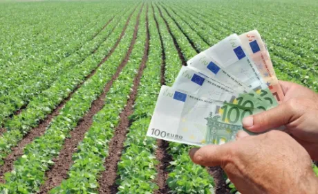 Уряд вніс зміни у деякі програми держпідтримки
