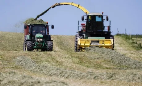 Швейцарія може стати першою європейською країною, яка заборонить синтетичні пестициди
