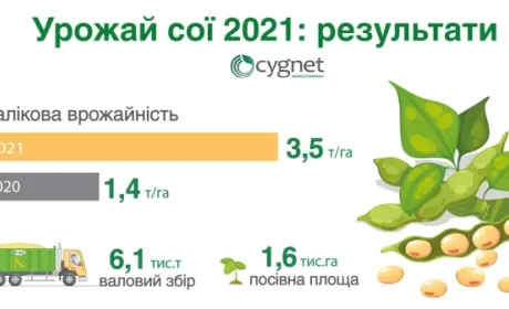 Компанія Cygnet отримала рекордний урожай сої