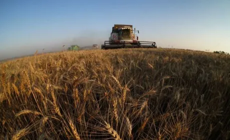Від проєкту Grain from Ukraine найбільше виграють малі й середні сільгоспвиробники, — Дмитро Соломчук