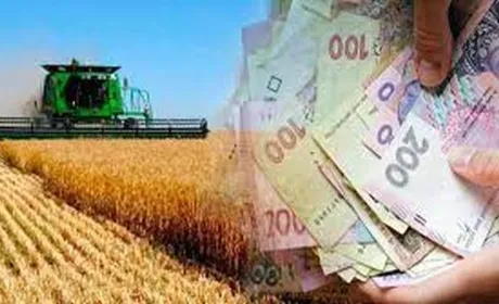 Сільгоспвиробники з початку року отримали майже 32 млрд грн кредитів