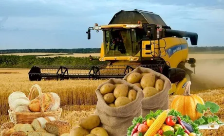 Напад Росії на Україну сколихнув світові ринки