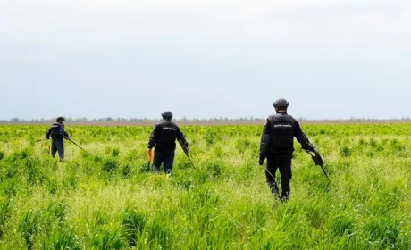 Обстеження потребують ще майже 300 тис. га сільськогосподарських земель Миколаївщини