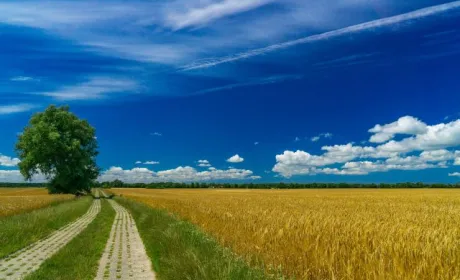 Тарас Висоцький обговорив із міжнародними партнерами питання розвитку сільських територій