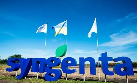Syngenta розшила лінійку зернових чотирма новинками