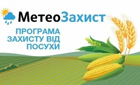 Сингента відкрила реєстрацію для нового сезону страхування «МетеоЗахист»