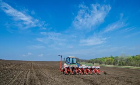У двох районах Сумщини розпочато сівбу ранніх ярих культур