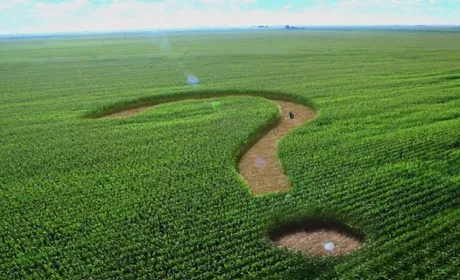 Опендатабот підрахував, скільки української землі належить росіянам