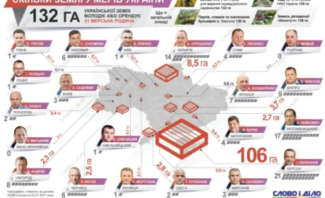 Скільки землі було у власності українських мерів у 2020 році