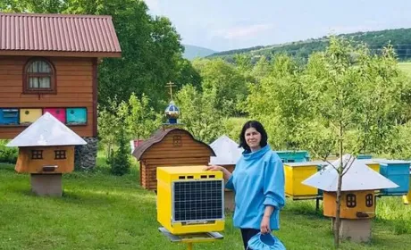 Закарпатський смарт-вулик знає все про бджіл