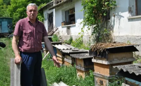 На Хмельниччині знову зафіксували факт масової загибелі бджіл