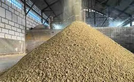 Через заборону імпорту української продукції у Польщі виник дефіцит соєвого шроту