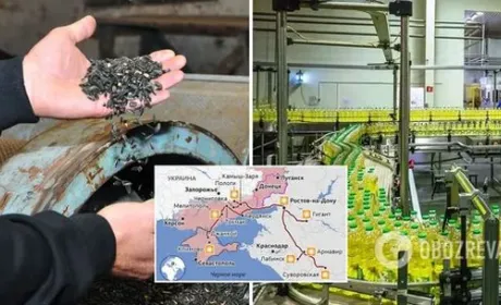 Окупанти крадуть в Україні ще й соняшник, який в Росії перероблять на олію