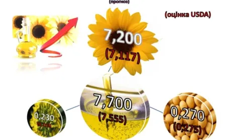У вересні — жовтні 2021/22 МР спостерігається зниження виробництва олії соняшникової на 13,5 %