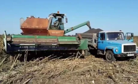Українські аграрії розпочали збирання соняшнику
