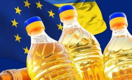 ЄС намагається адаптуватись до дефіциту української соняшникової олії
