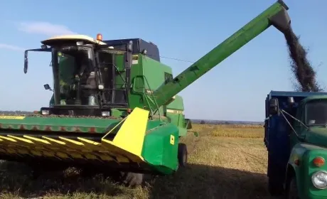 Харківщина попри посуху отримала рекордний урожай соняшнику