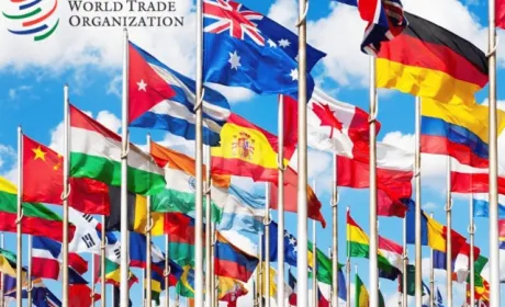 Україна підтримує зменшення внутрішніх субсидій для агробізнесу, — Мінекономіки