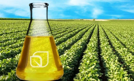 Bunge планує розширення потужностей з виробництва біодизелю на основі сої в США