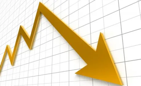 Сільгоспвиробництво в Сумській області в 1 півріччі незначно знизилося