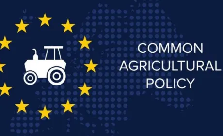 Почалась реалізація спільної сільськогосподарської політики ЄС на 2023-2027 роки