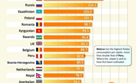 Українці другі в світі по споживанню картоплі