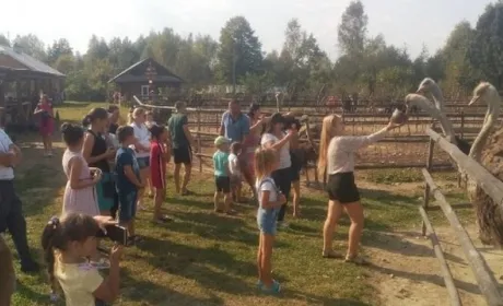 Фермер розповів, як заробляє 2 тисячі гривень щодня