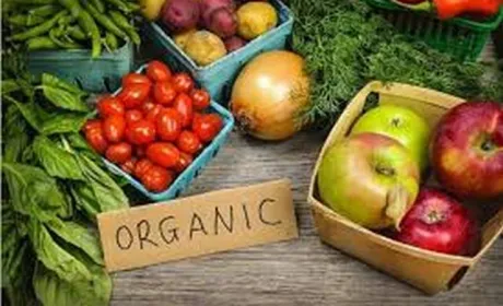 Львівщина надає субсидії виробникам органічної продукції