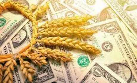 Світові ціни на пшеницю відреагували на продовження зернової ініціативи