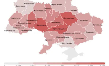 Ціна не зростала три роки: скільки коштує оренда української землі й де вона найдорожча