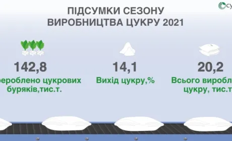 CYGNET завершив сезон цукровиробництва