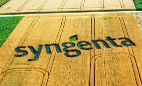 Syngenta запустила сайт з контролю бур'янів, стійких до гербіцидів