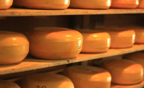 Продукція сироварів знову почала осідати на складах