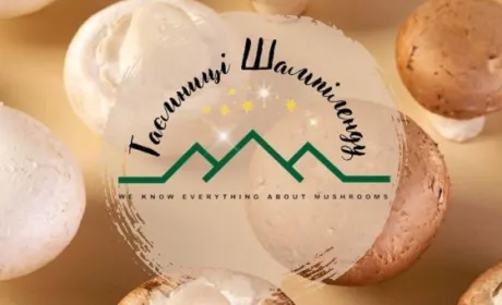 Грибний гастротуризм на Львівщині