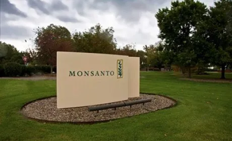 Monsanto продає Mitsui бізнес по обробці насіння пшениці та ячменю