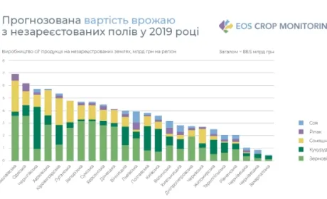 Миколаївщина стала лідером тіньового агроринку в Україні