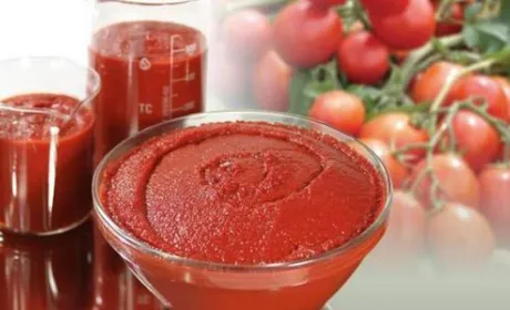 Українська торгова місія просуває в Японії продукцію АПК