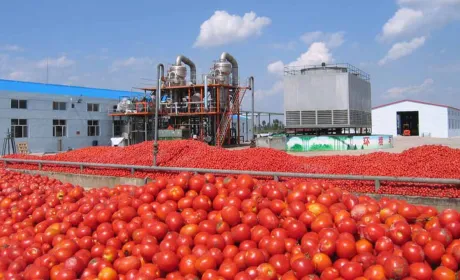 IFC надасть Agrofusion кредит на $17 млн