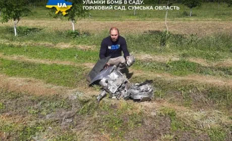 Окупанти розбомбили та пограбували горіховий сад на Сумщині