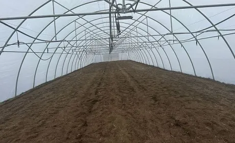 ПАЕК готуютєся висаджувати розсаду